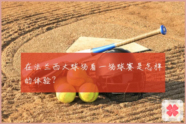 在法兰西大球场看一场球赛是怎样的体验？