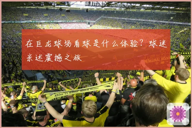 在巨龙球场看球是什么体验？球迷亲述震撼之旅